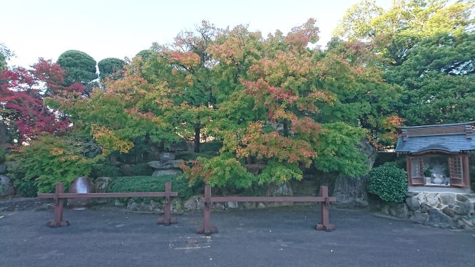 和楽園の紅葉は・・・❓