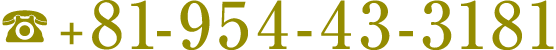 +81-954-43-3181