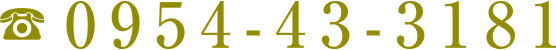 0954-43-3181